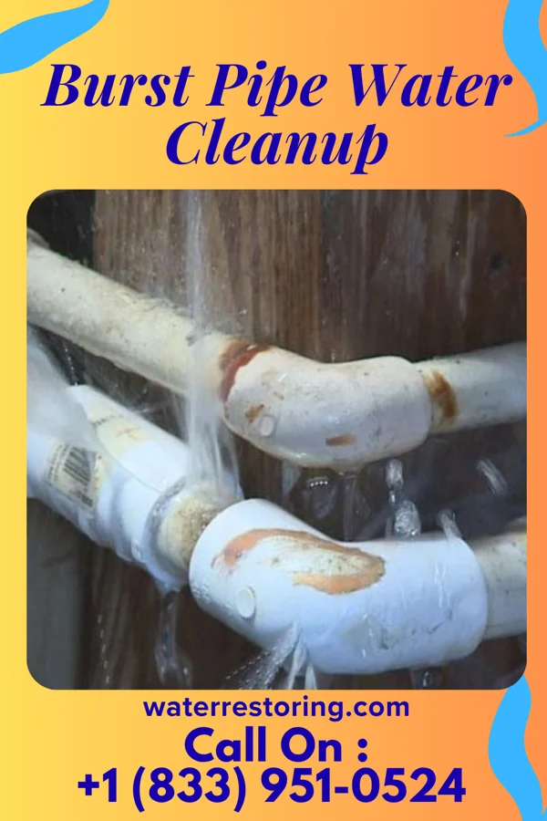Burst Pipe Water Cleanup in Harvel, IL
