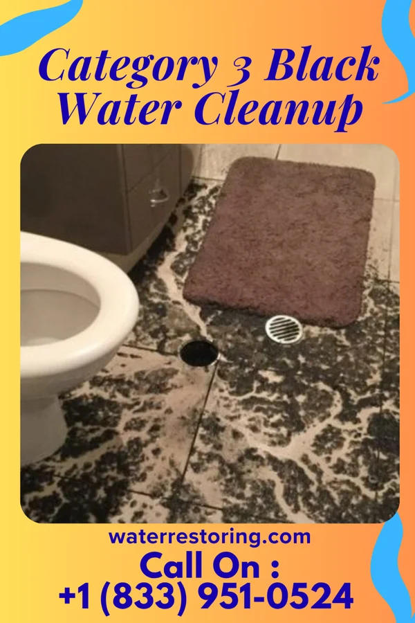 Category 3 Black Water Cleanup in Harvel, IL