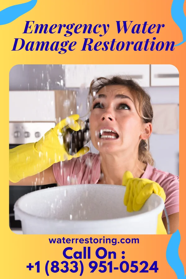 Emergency Water Damage Restoration in Harvel, IL