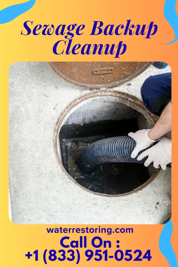 Sewage Backup Cleanup in Harvel, IL