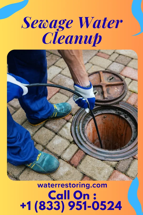 Sewage Water Cleanup in Harvel, IL