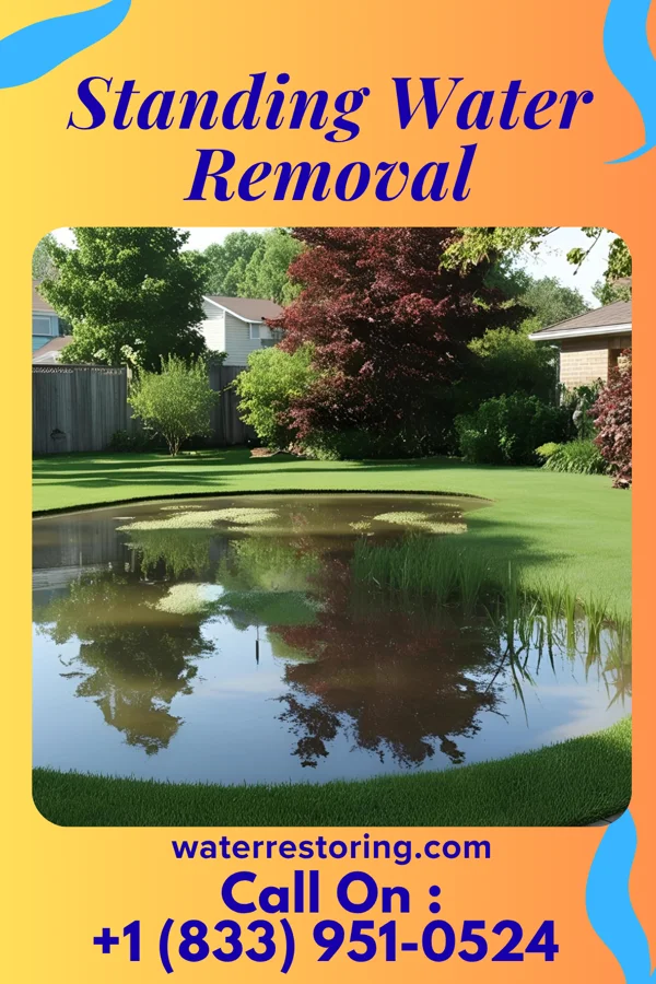 Standing Water Removal in Harvel, IL